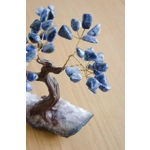 bonsai sodalite