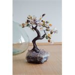 bonsai sette chakra