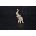 Elefante