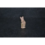 Gatto girato