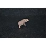 Ippopotamo