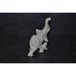 Mamma elefante ruvida