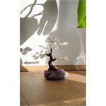 bonsai quarzo ialino