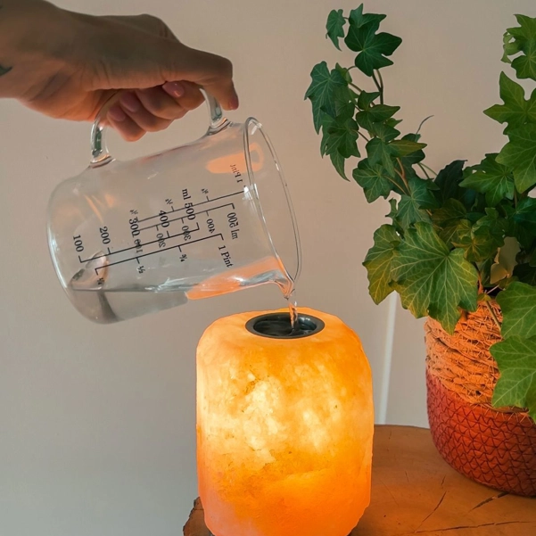 lampada di sale dell'Himalaya con bruciaessenze