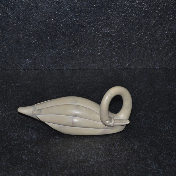 Cigno collo lungo