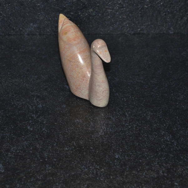 Cigno Mochama