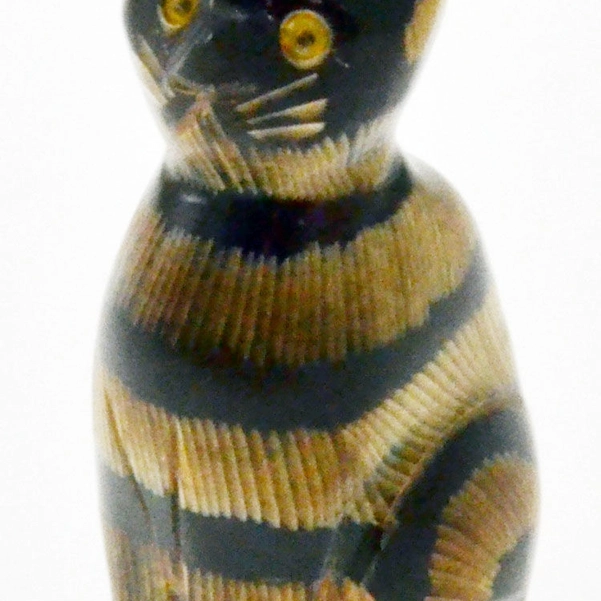 Gatto corno
