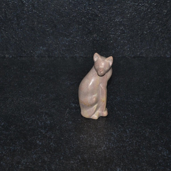 Gatto girato