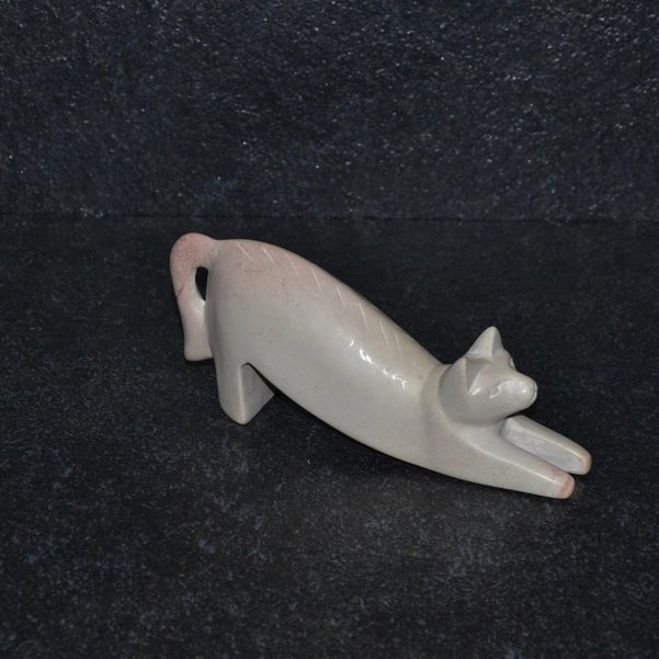 Gatto salto