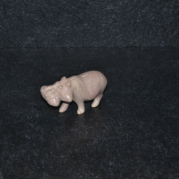Ippopotamo