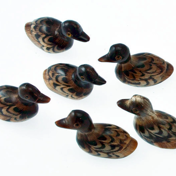 Papera corno