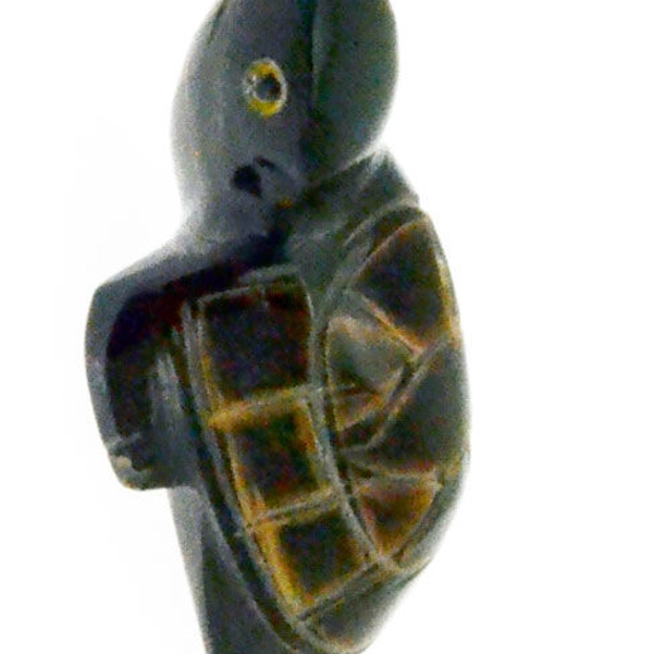 Tartaruga corno