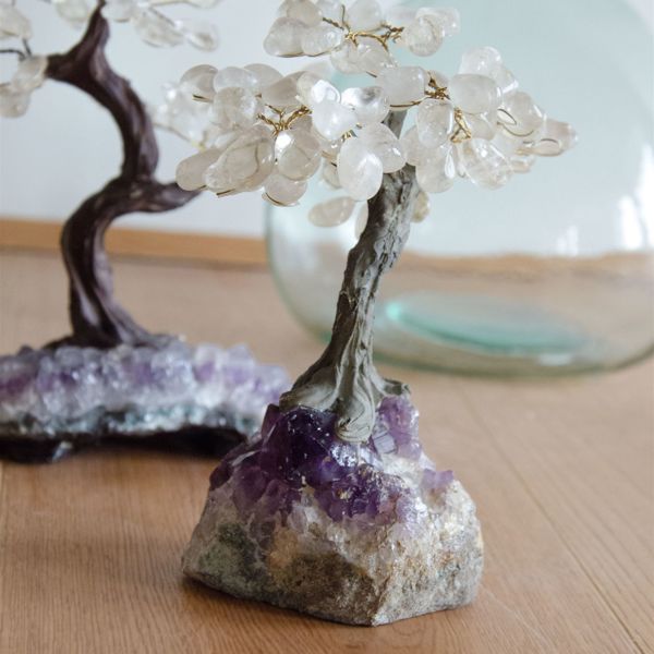 bonsai quarzo ialino
