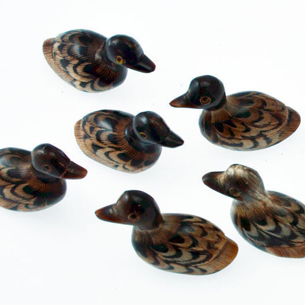 Papera corno