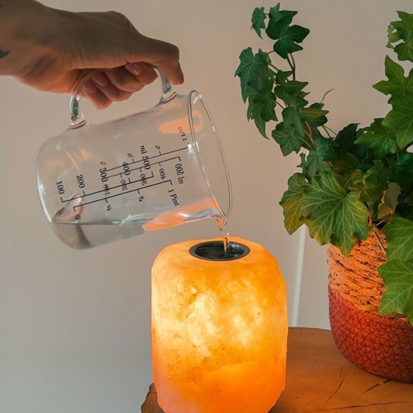 lampada di sale dell'Himalaya con bruciaessenze