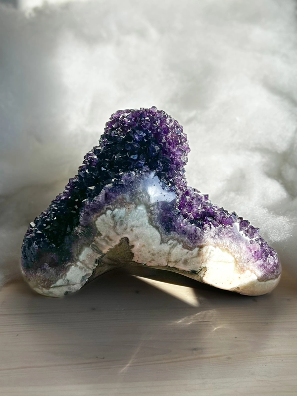 Ametista Pigna, Uruguay PRIMA SCELTA