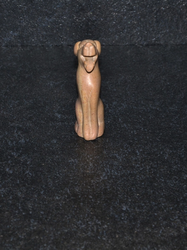 Cane simpatico