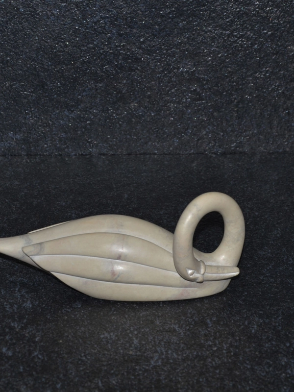 Cigno collo lungo