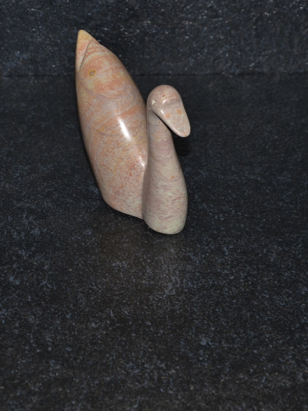 Cigno Mochama