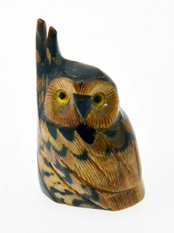 Civetta su ramo corno