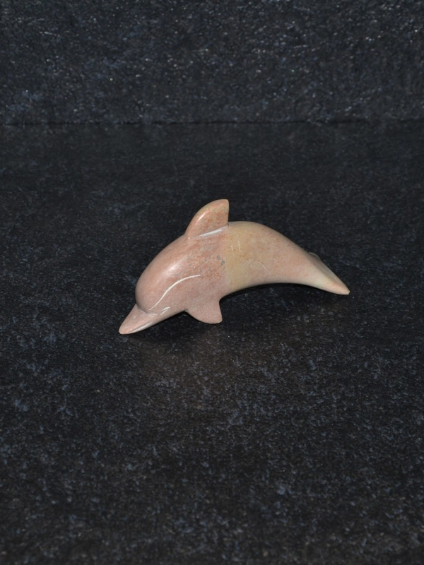 Delfino disteso