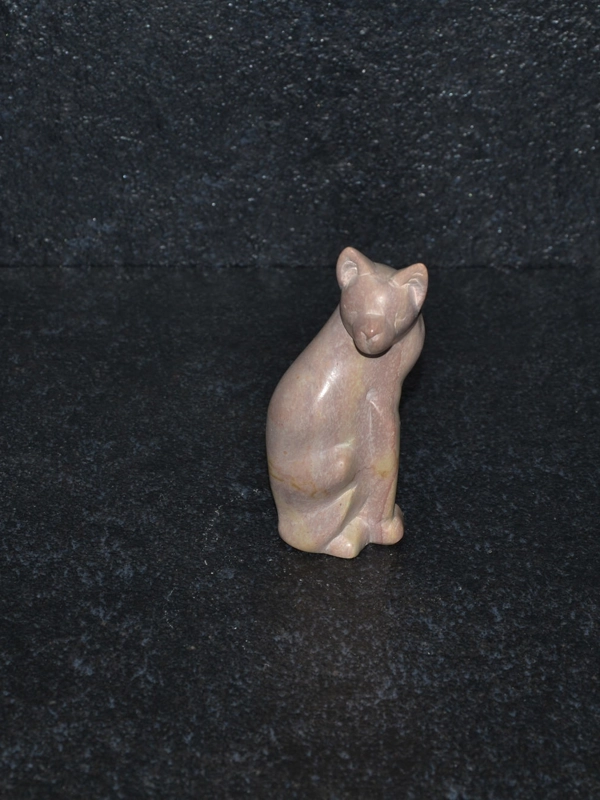 Gatto girato