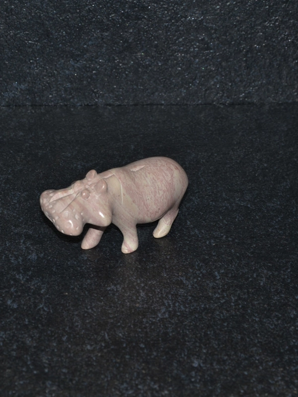Ippopotamo