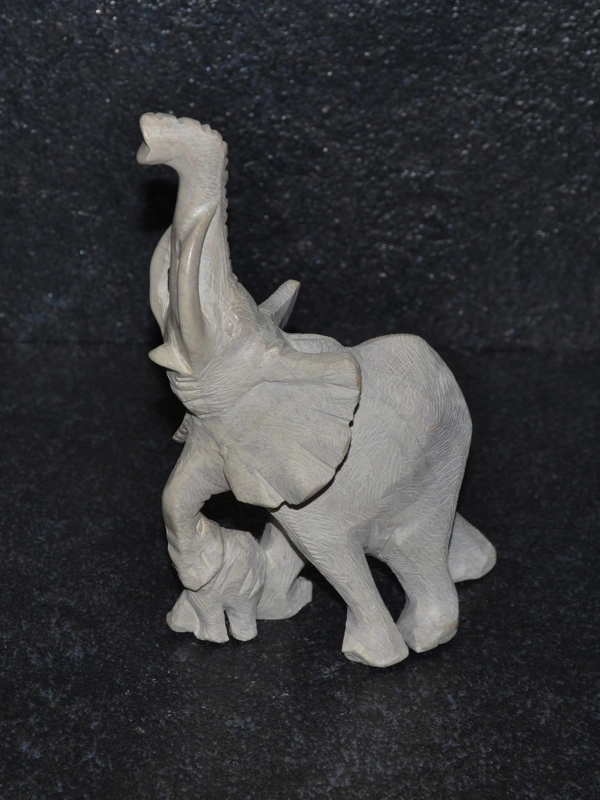 Mamma elefante ruvida