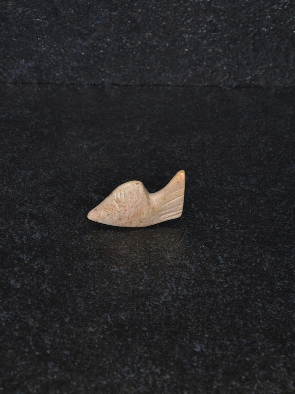 Pesce mini