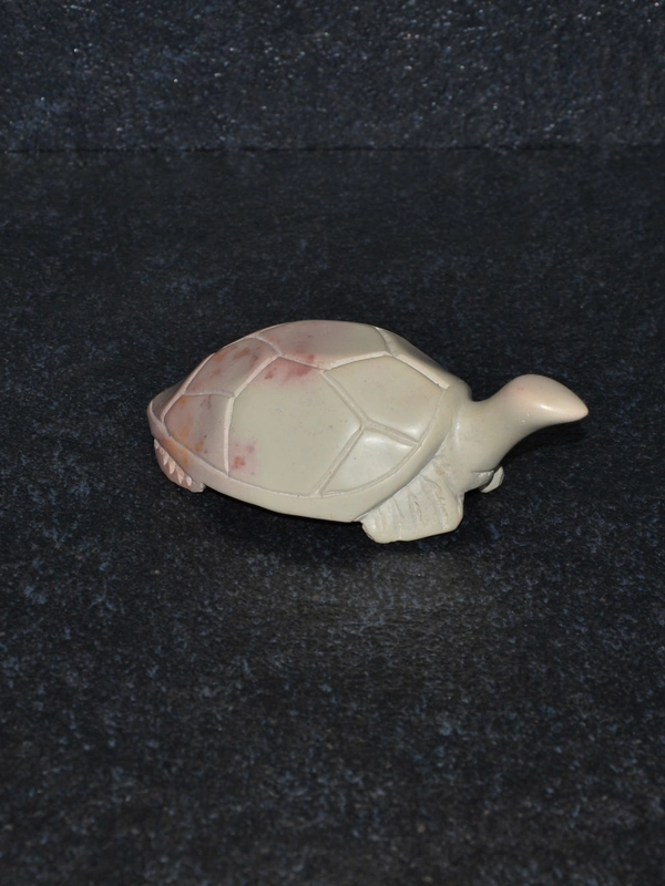 Tartaruga