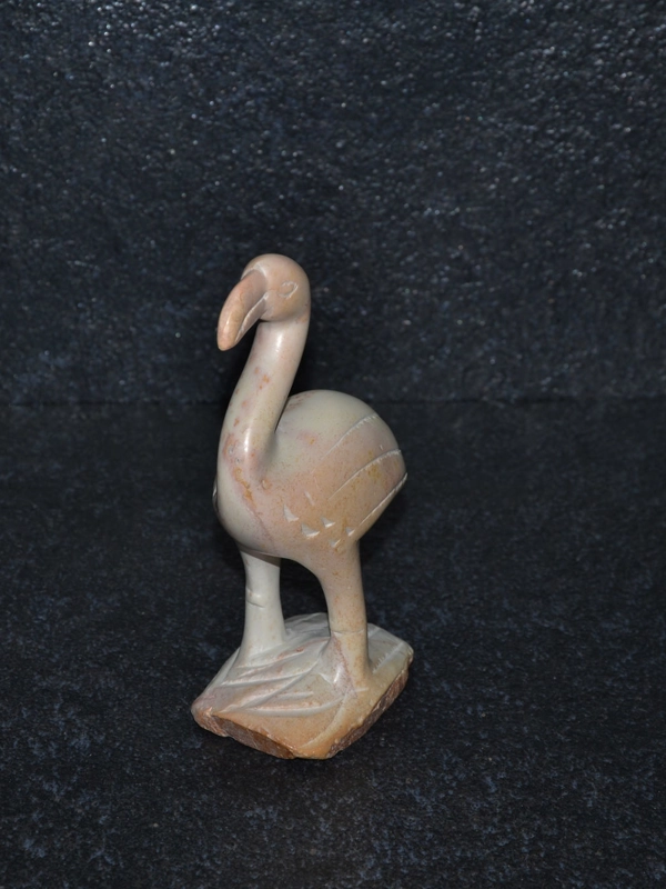 Uccello flamingo