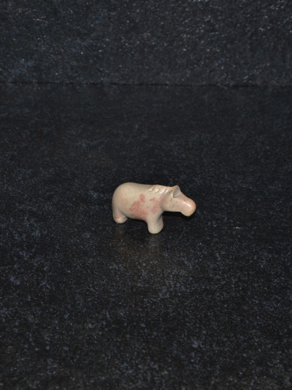Zebra mini