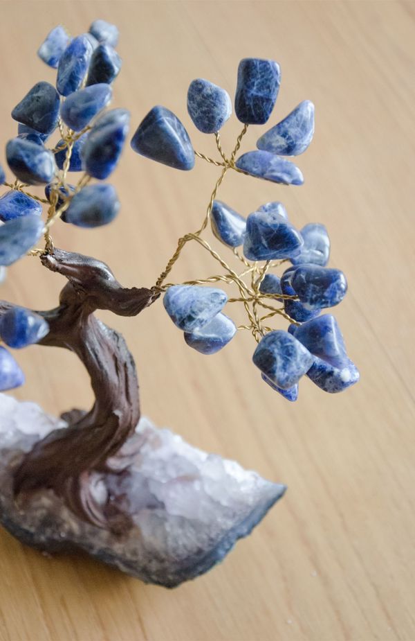 bonsai sodalite