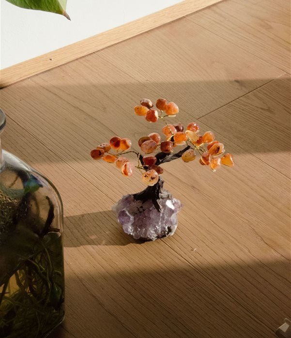 bonsai agata corniola