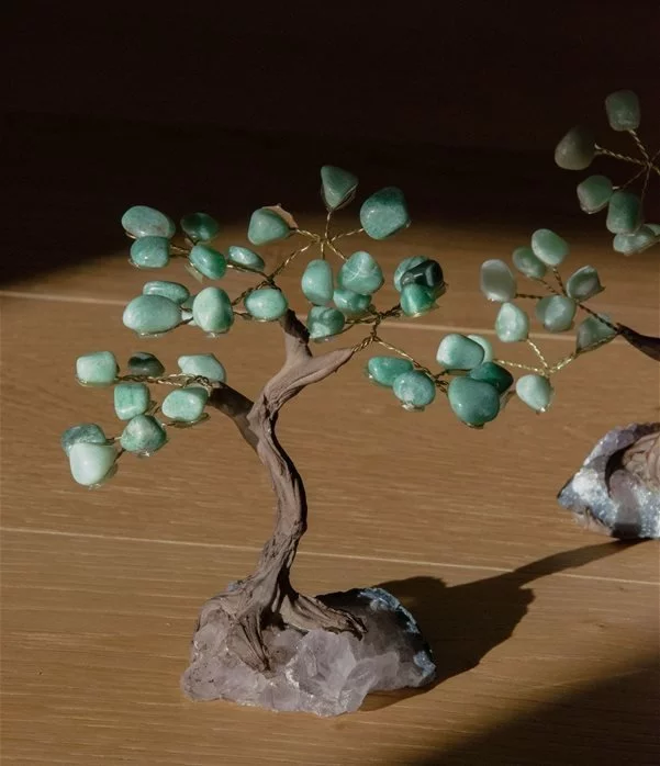 bonsai avventurina