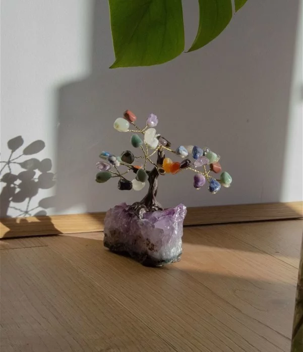 bonsai sette chakra