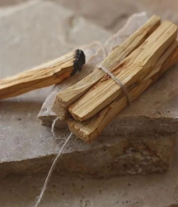 Palo Santo