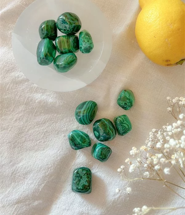Malachite burattata