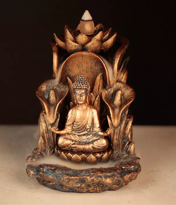 bruciaincenso backflow - buddha thai