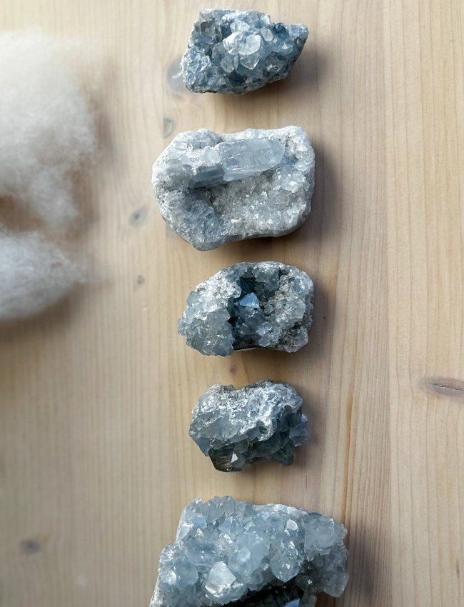 Geodi di Celestina