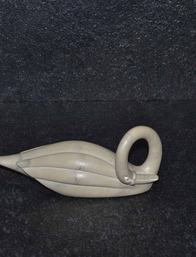 Cigno collo lungo