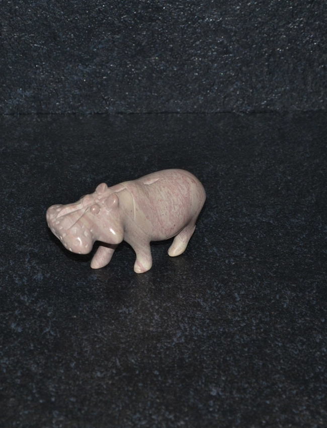 Ippopotamo