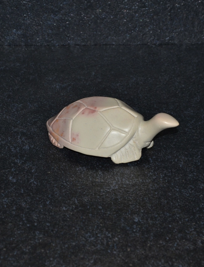Tartaruga