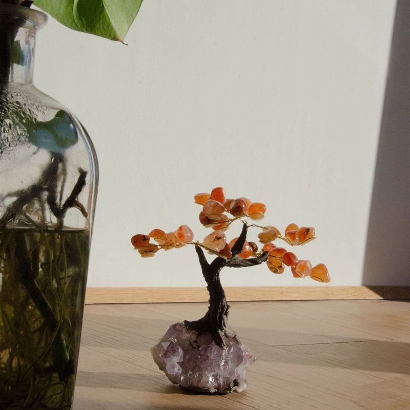 bonsai agata corniola