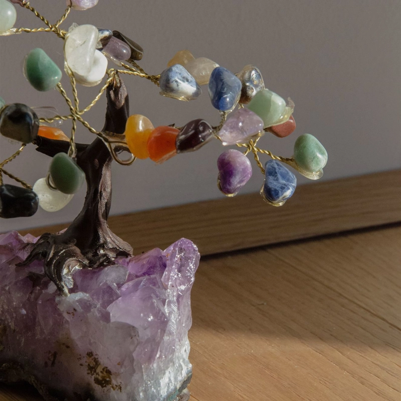 bonsai sette chakra
