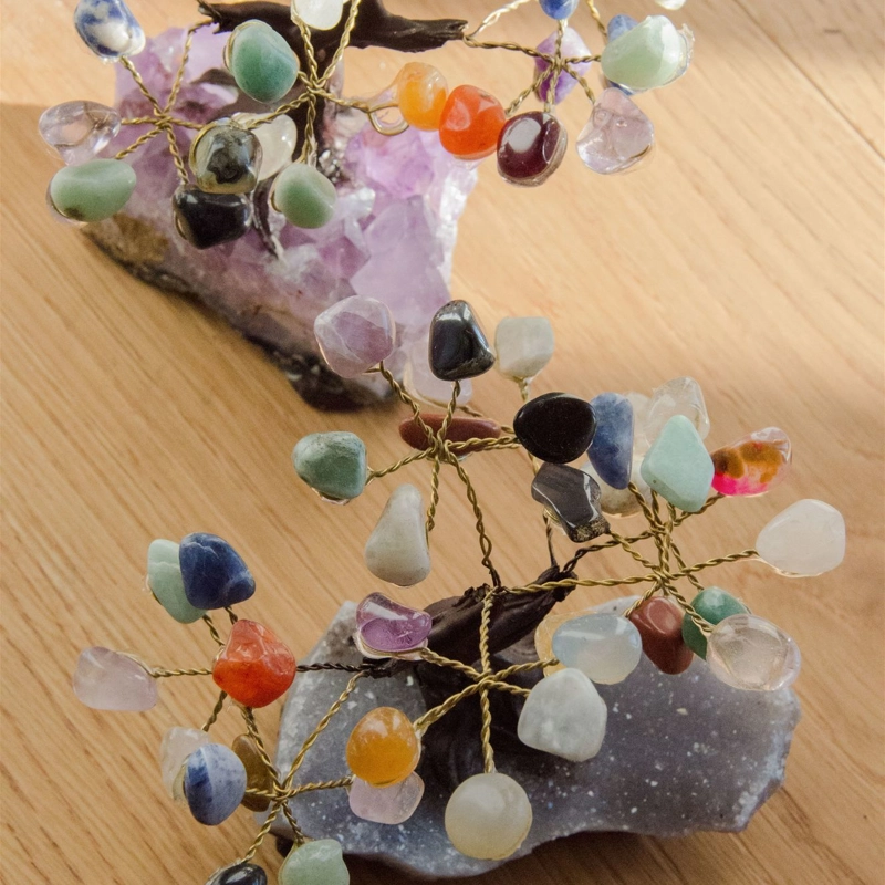 bonsai sette chakra