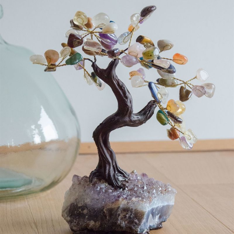 bonsai sette chakra