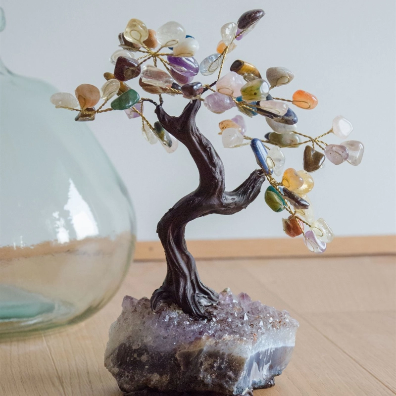bonsai sette chakra