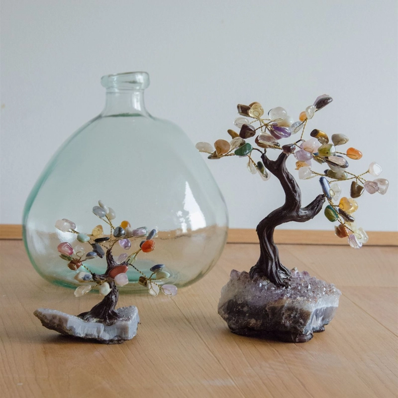 bonsai sette chakra