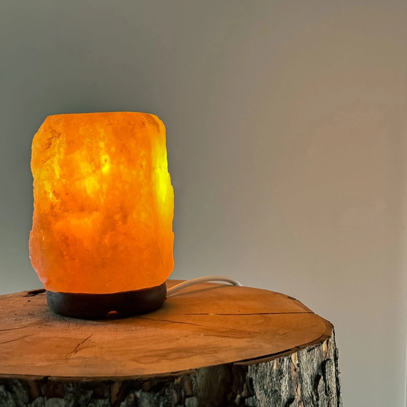 lampada di sale dell'Himalaya con bruciaessenze